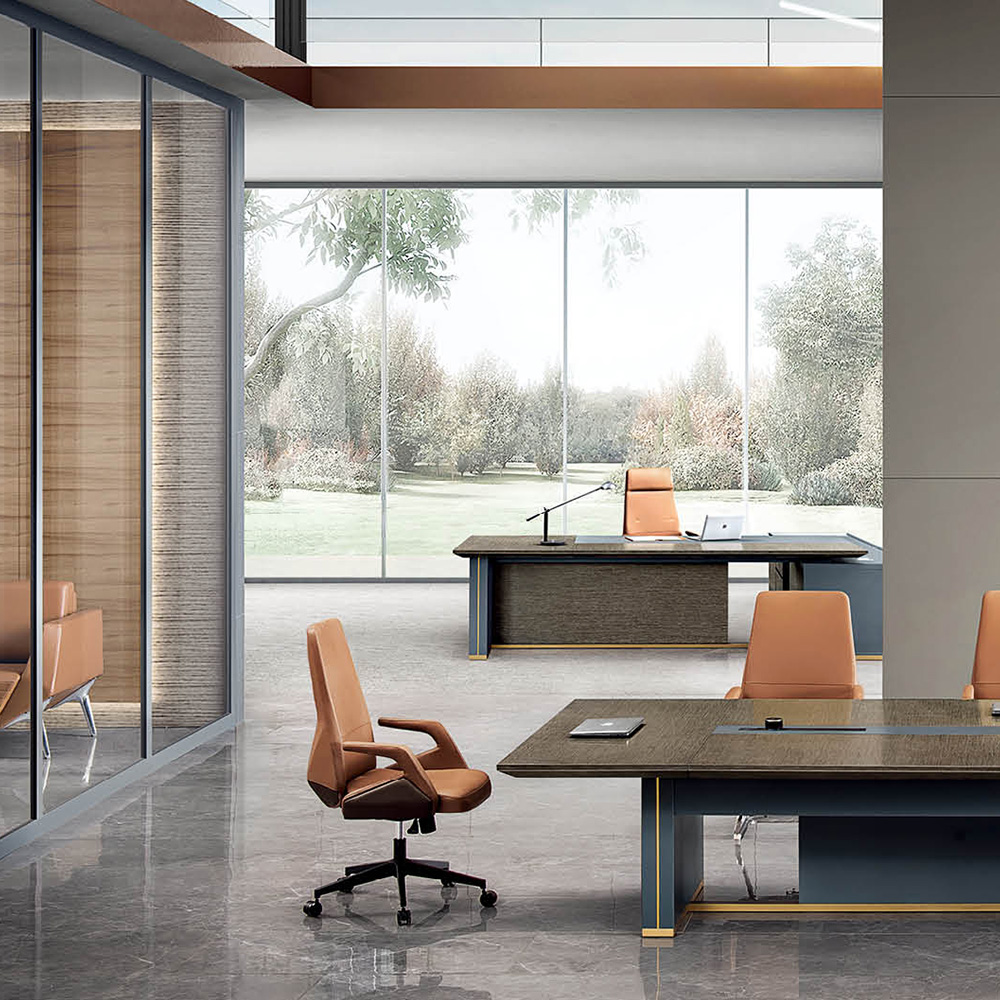 Luxury Modern Executive Ceo Desk for Office