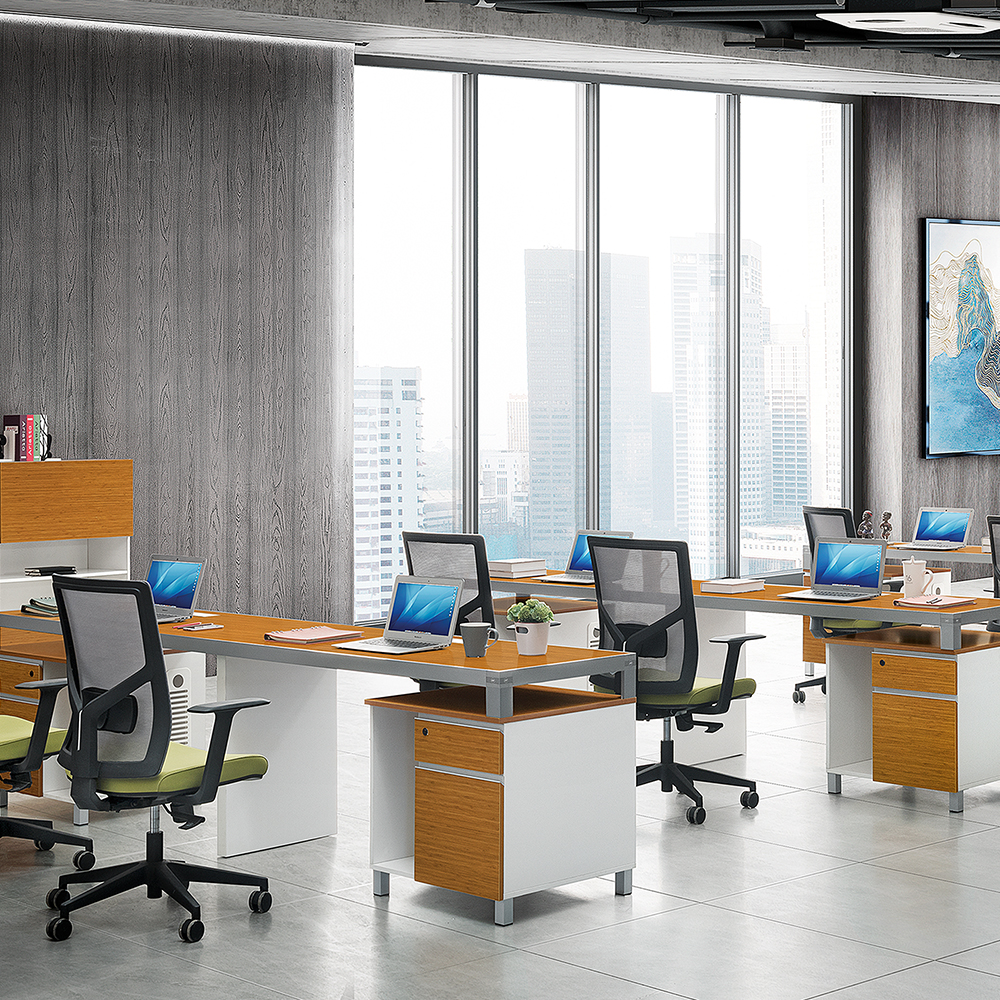 Modern Bambu Line Shape Office Workstation with Computer Host|For 2 persons|Double Seats