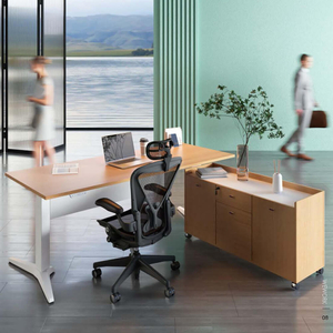 Adjustable Height Executive Office Standing Desk